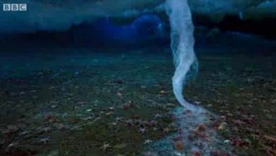 Photo of Egy megdöbbentő természeti jelenség – a halál jeges ujja (videó)