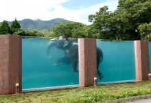 Photo of Üvegfalú medencében úszkálnak az elefántok egy japán állatkertben