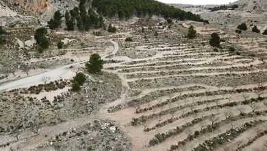 Photo of Az elsivatagosodás ellen épít falat Spanyolország