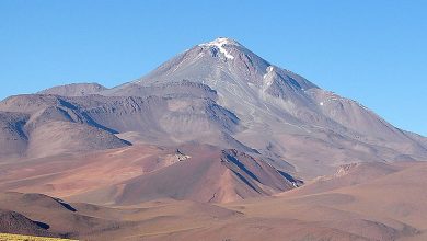 Photo of A tengerszint felett legmagasabban élő emlősre bukkantak kutatók az Andokban
