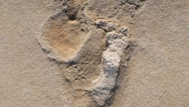 Photo of 6 millió éves, emberfélétől származó lábnyomokat találtak Kréta szigetén